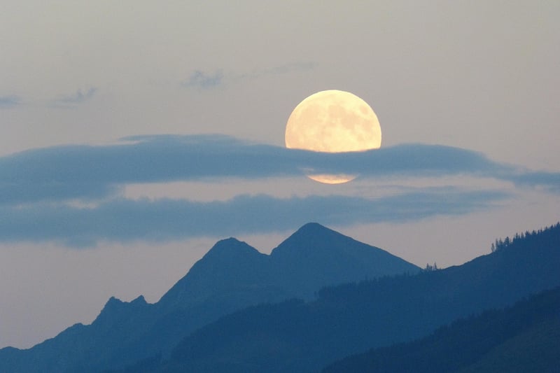 Moon Phase Top